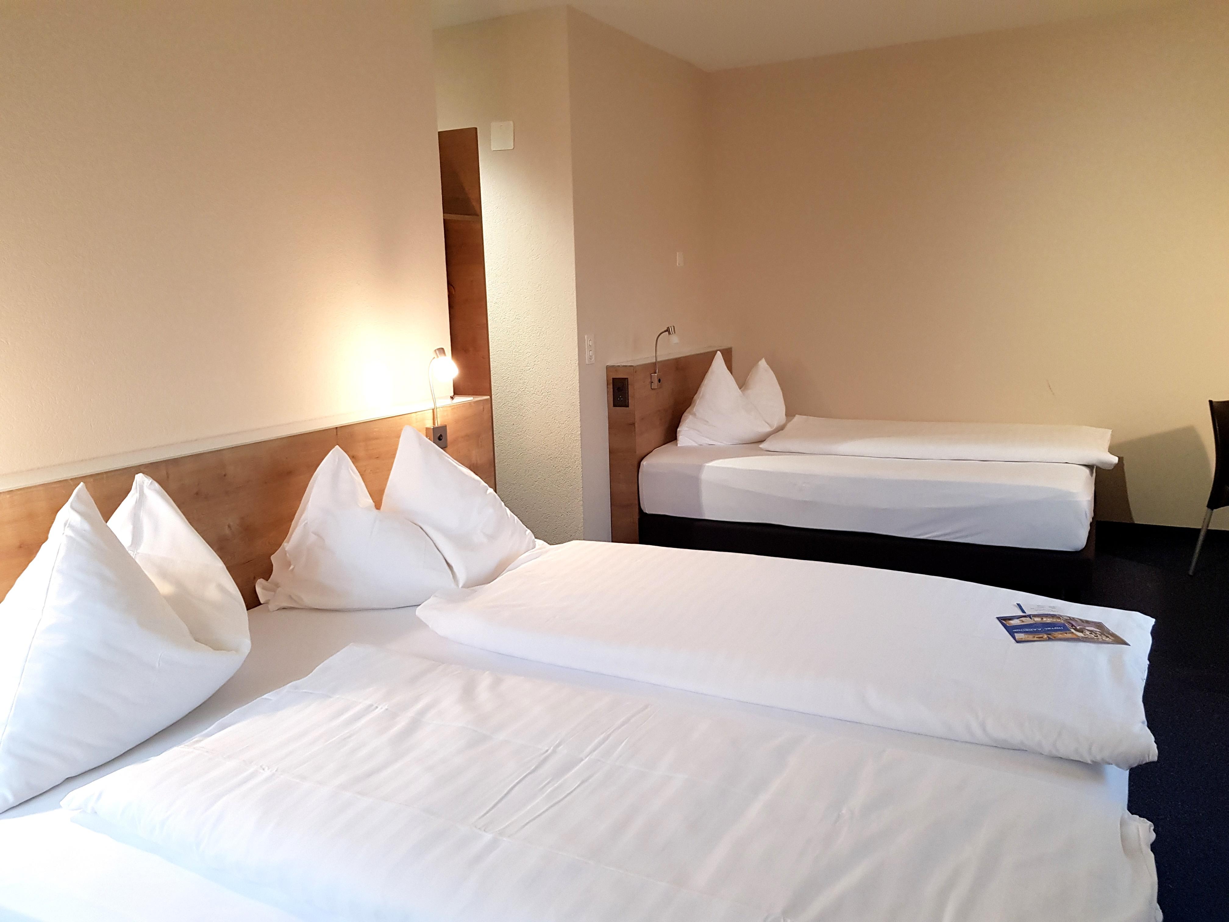 Aarehof Swiss Quality Hotel Wildegg מראה חיצוני תמונה